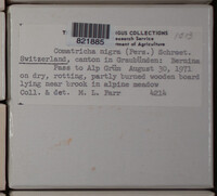 Image Associated With the Occurence